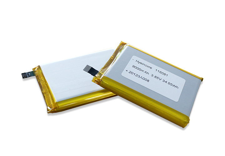 polymer battery (1).jpg