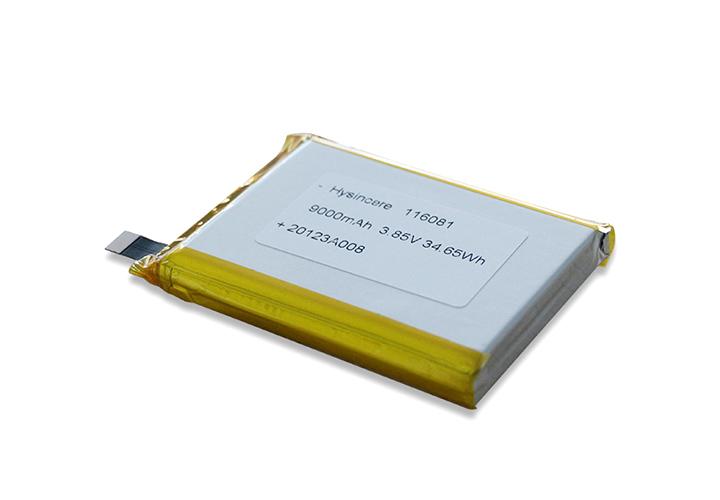 polymer battery (10).jpg