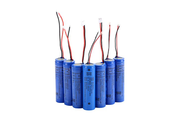 lithium trolling motor battery wholesale