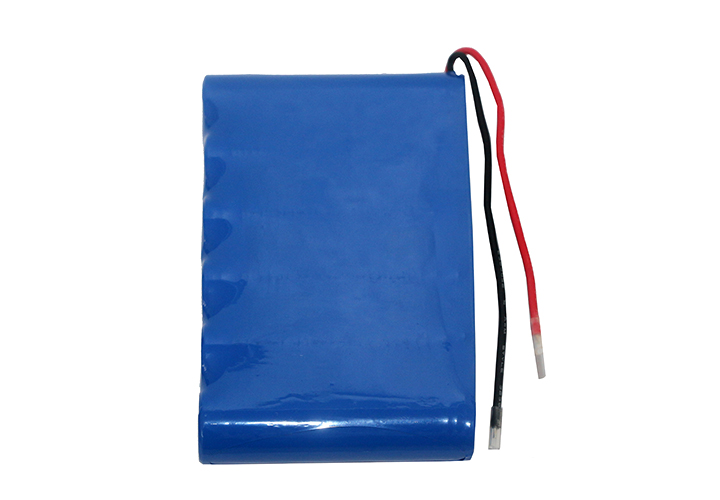 lithium trolling motor battery direct sales